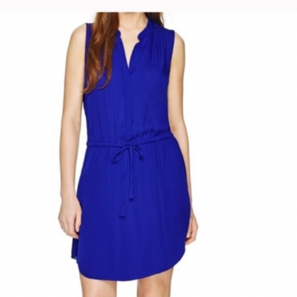 Aritzia 100% Silk Sleeveless Shift Dress